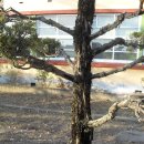 명동초등학교 이미지