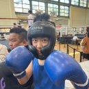 브로스 복싱 이미지