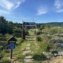 황룡stay 이미지