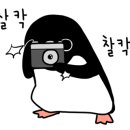 새로안안경부평센터