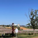 농업회사법인(주)안성 이미지