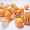 과일마트 - 진도군 옥주길 17 | 과일마트