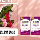 더블업 네이버블로그