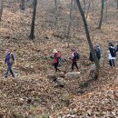 원주굽이길 원10코스 바람머리산길 이미지