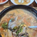 포천내촌큰맘할매순대국 - 6429 | 포천내촌큰맘할매순대국