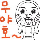 조광동물병원 이미지