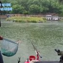 도장골낚시터 | 향어 낚시 유튜버도 반한 왕초보 시소채비! 찌맞춤도 쉬워요