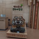 백야자연휴양림 이미지