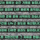 퍼스트광고전단 네이버블로그