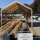 꿀꿀이농장 | 13개월 아기랑 용인 동물 먹이체험 포레스트벨 체험농장 후기 (고구마 수확체험 까지)