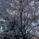 마송초병설유치원 이미지