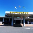 금강의전 이미지