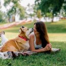 이수케어 이미지