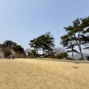 비에이비스타CC | 경기도 이천 비에이비스타CC 퍼블릭코스 후기 (호박-보나)