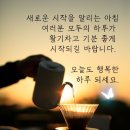 RE: 유기견 이미지