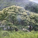 수동그린낚시터 이미지