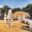 동아의안 | ⁠[신의 정원 조선 왕릉③] 태조 이성계의 건원릉 - 주간동아