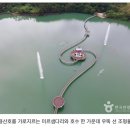 용산호호