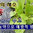 성산일출봉농업협동조합 농산물산지유통센터 이미지