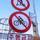제기자건거