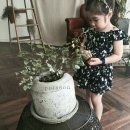 뽀데나 이미지