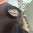 (유)청정바이오산업 | [대전두피클리닉] 대전두피케어 맛집 “모바이오 대전유성점” 솔직 후기