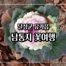 가태길 이미지