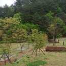 모험레포츠연수원 캠핑장 이미지