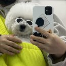 맥시칸경마공원점 | 3월 마무리