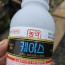 7월20일,홍로1차착색관리 이미지