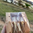 단댕 | [익산샌드위치맛집]익산추천맛집/익산모현동맛집::‘빨간머리앤카페’🥪🥗🥙🫔🌮