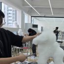 벨라루시애견미용학원 이미지