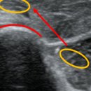 건강한뇌신경과의원 이미지