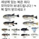 자글자글 이미지