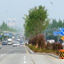 창원대로-1 이미지