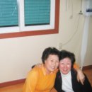 봉림흑염소 이미지