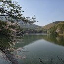 성지곡지 이미지