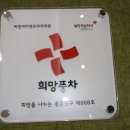 씨엔씨미앤유외과의원 Daum카페