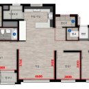 더퍼스트 이미지