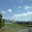 명설재명태요리전문점 이미지