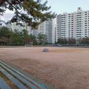 삼문공설운동장 Daum카페