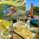 알토란사과체험마을 | 경북 영주여행 녹색농심인삼마을 농촌체험 추천