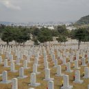 [글로벌 탐방] 재외동포 청소년들의 한국 역사 투어, 'K-얼 나라사랑 문화체험' 현장을 가다!