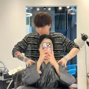댕댕살롱앤스파 | 센텀 미용실 에코레비헤어앤스파 실크클리닉 추천 후기