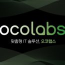 에이스부동산중개 | 부동산 홈페이지 제작, 비용 문제로 고민 많다면 확인