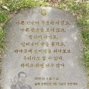 오늘,내일 전국집회 "김건희 특검,윤석열 퇴진" 많은 관심 가져주세요! 이미지