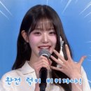 고미사 이미지