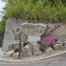 마을산책 | 🌷원주 동화마을수목원 힐링 산책 후기🌿(무료입장)