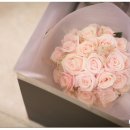 메리골드shop 이미지