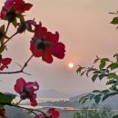 둔덕농장2 이미지